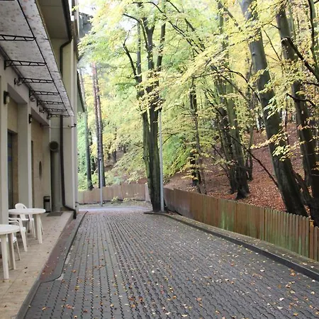 Hostel Leśny *