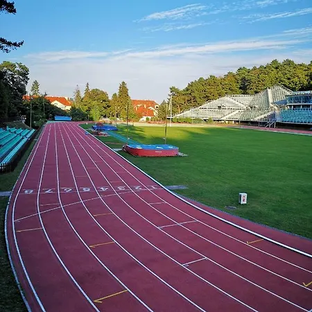 Leśny *