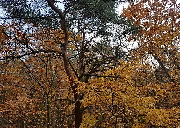 Auberge de jeunesse Lesny *