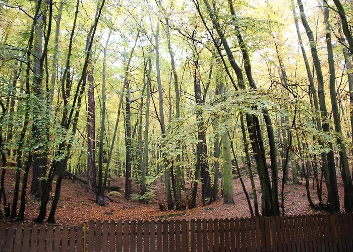 Lesny ホステル ソポト