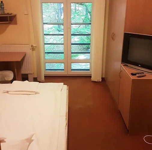 Lesny Auberge de jeunesse