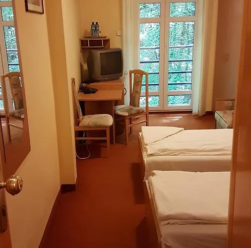 Auberge de jeunesse Lesny